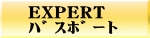 EXPERT ޽ް